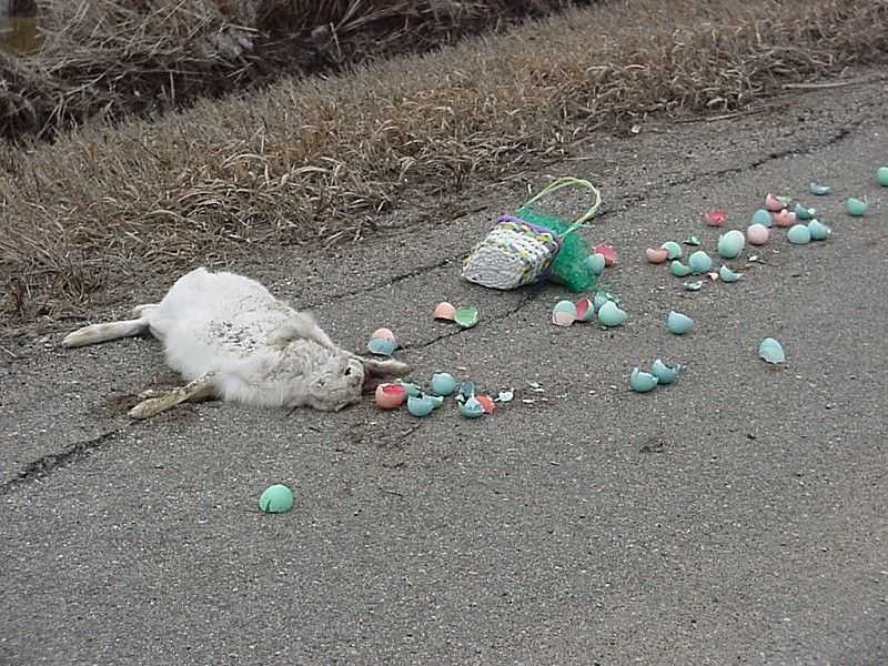 easter2.jpg