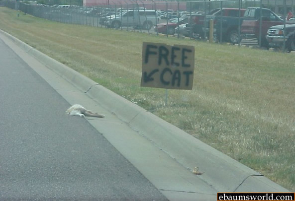 freecat.jpg