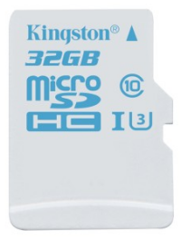 kingston action camera card